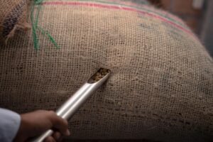 Read more about the article Why Colombian Huila Beans Are Essential for Coffee Lovers