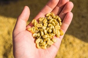 Read more about the article DIY Coffee Roasting: Perfect Beans with a Popcorn Maker